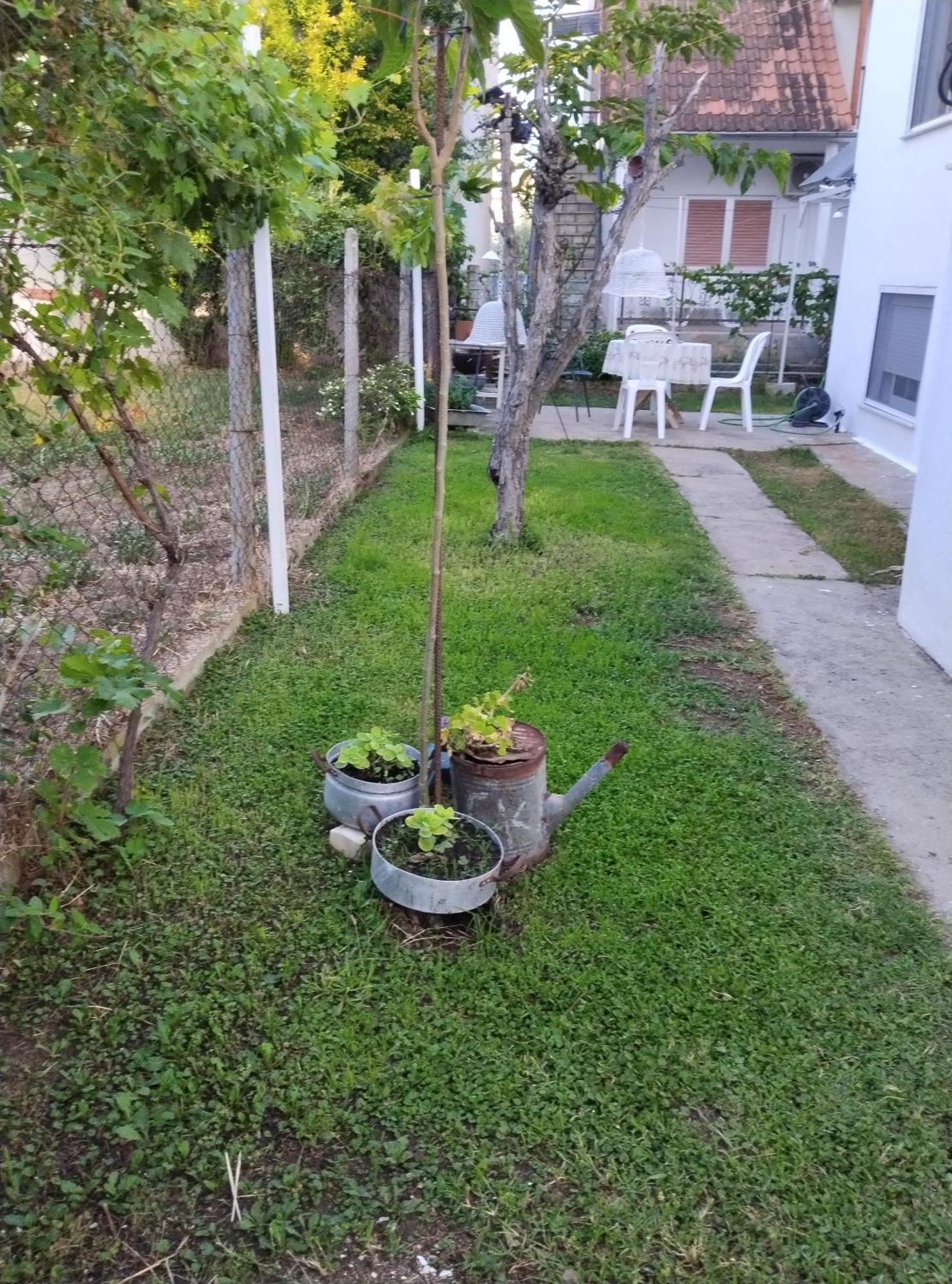 Θαλασσινή Αυρα Villa Vrasná Eksteriør bilde