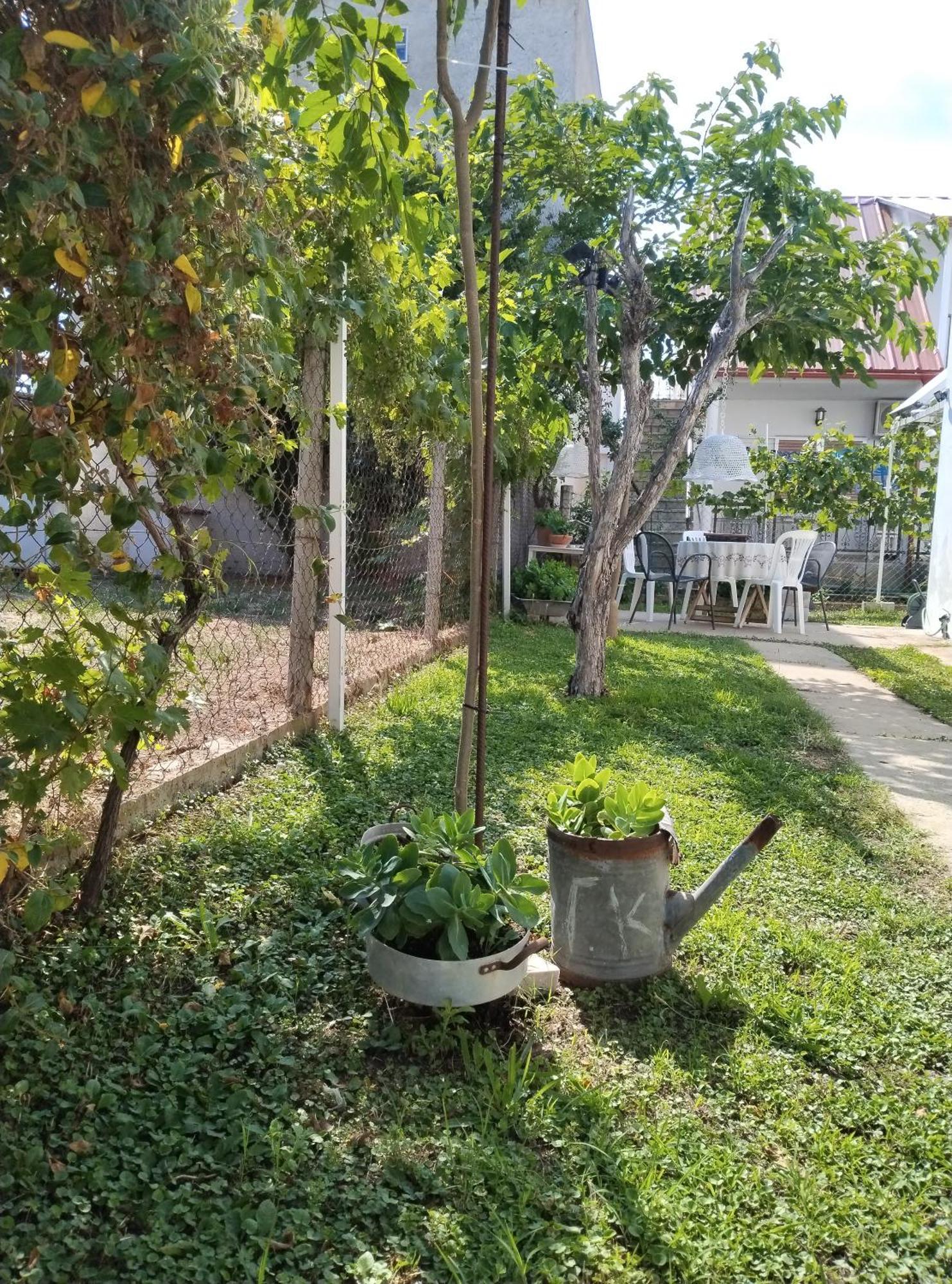 Θαλασσινή Αυρα Villa Vrasná Eksteriør bilde